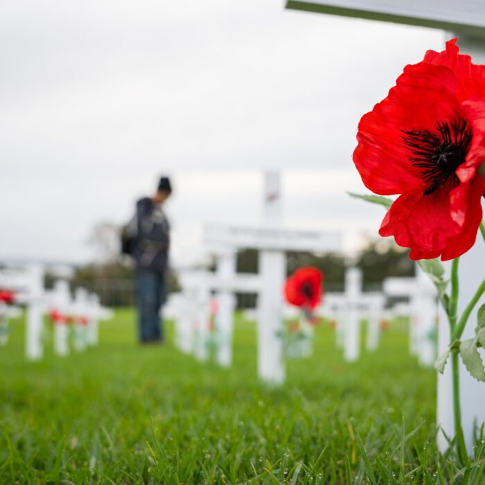 Remembrance Day 2024: Community Events Across Australia to Honour Our Heroes